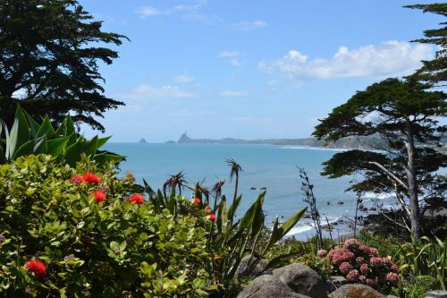 Surrounding environment, Ahu Ahu Beach Villas in Kaitake