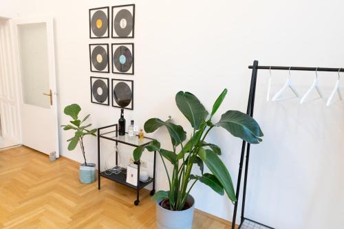 Apartment image 3