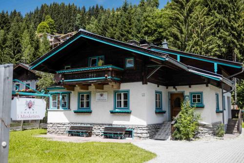 Chalet 3 Musketiers in Viehhofen, Österreich
