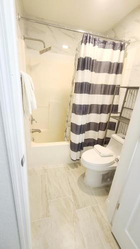 Historic Inn - Saint Augustine - image 2