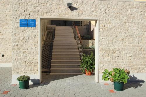 Apartments Villa Astra & Pinija - image 5