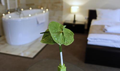 Hotel Brill Orosháza - image 6