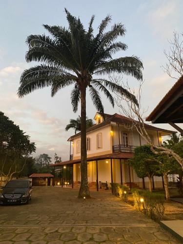 Roca Vale dos Prazeres São Tomé