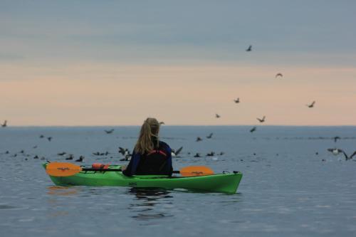 Stave Camping & Hot Pools - image 7