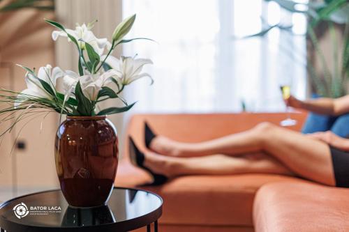 Zemplén Terrace - image 2