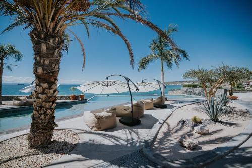 ทัศนียภาพ, Orchid House Baja in ลาปาซ