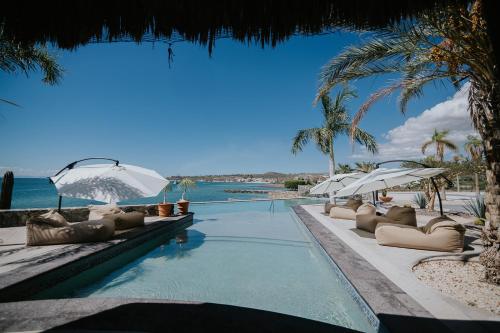 ทัศนียภาพ, Orchid House Baja in ลาปาซ