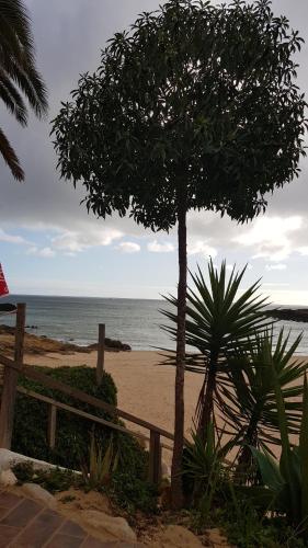 Strand, Laurus - Charming House in Raposeira