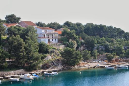  Apartments by the sea Basina, Hvar - 8749 in Vrbanj