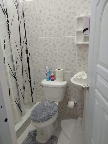 One-Bedroom Apartment image 9