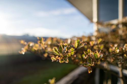 Sweeping Mountain View Retreat at La Cantane Villa