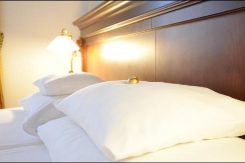 Radisson Blu Hotel Altstadt, Salcburk (fotografie 5)