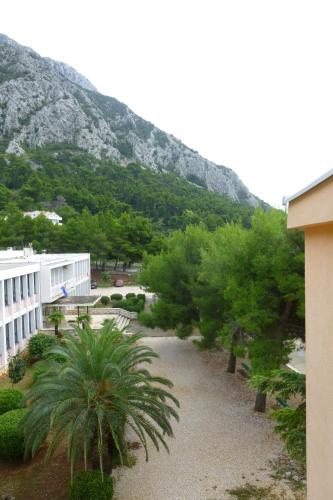 A környék, Apartments Grozdana in Gradac