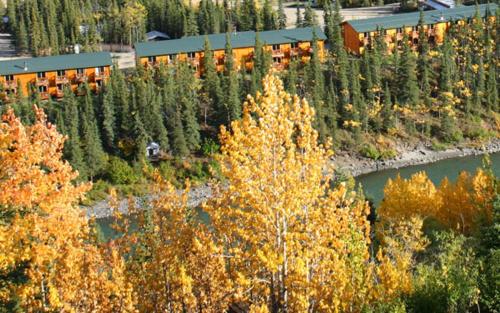 Denali Grizzly Bear Resort - 숙소 외관