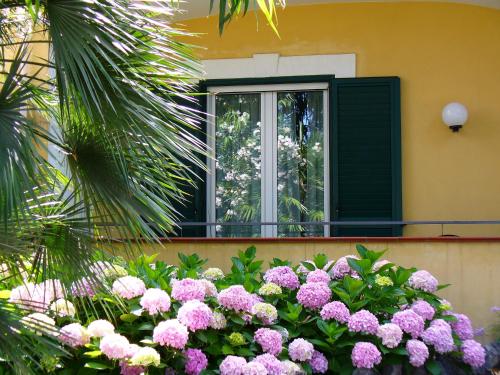 Hotel Villa La Marticana - main image