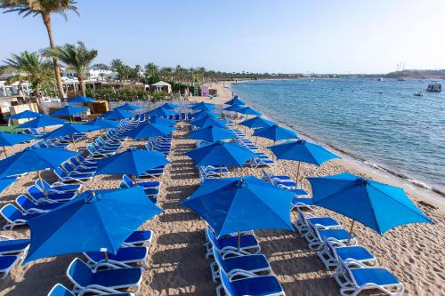Strand, Naama Bay Hotel & Resort in Sharm El Sheikh