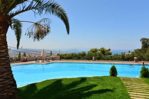 Royal Sun, Chania (fotografie 3)