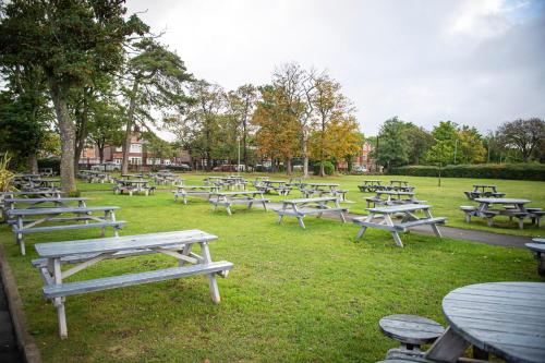 Highfield Hotel - image 10