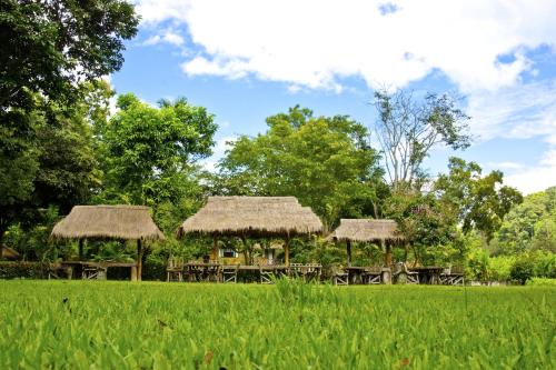 Where To Stay In Chiang Mai: 10 Farm Stays With Purpose - Updated 2022