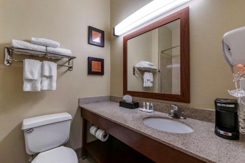 Comfort Inn & Suites Waterloo – Cedar Falls - image 12