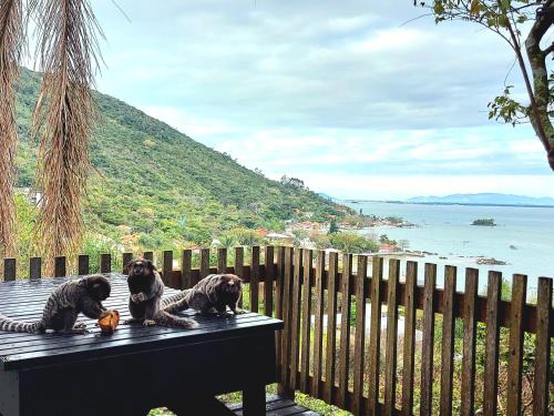 Chalézinho na montanha com vista para o mar