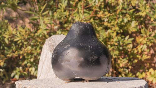 Villa St Maxime - main image