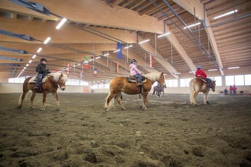 Angerle Alm Apt Similde B