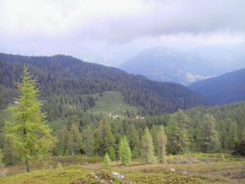Almhütte Badstube - image 13
