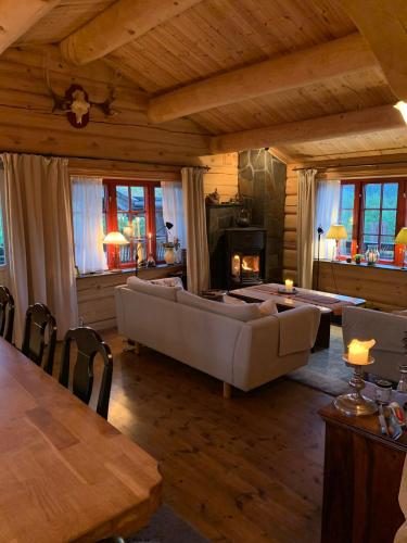Havretunet på Havrefjell-cozy cabin with jacuzzi