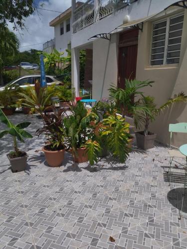 villa siber in Port-Louis