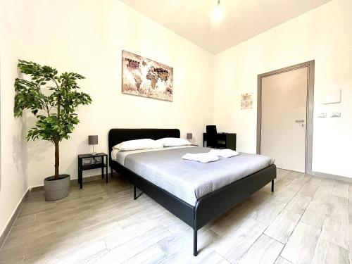 Colosseum Guest House, Rome (photo 2)