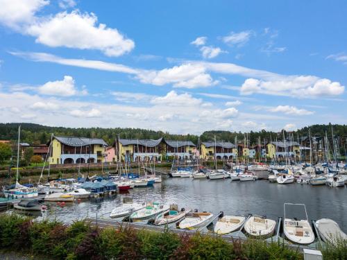 Comfortable holiday home in Lipno with garden