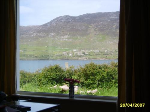 Cottage 101 - Moyard - image 9