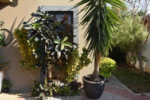 Luxlusive guest house — Photo 2