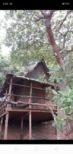 Tree Lodge Banlung in Banlung