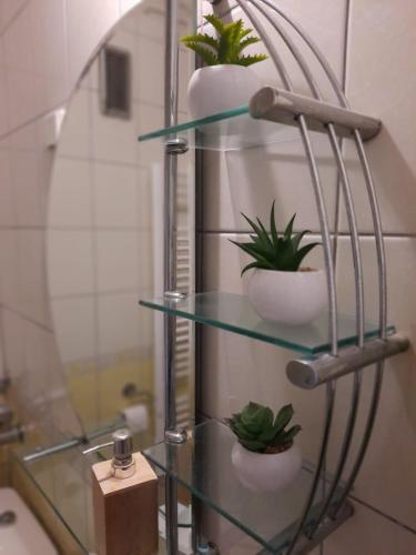 Apartman RIGEL - image 14
