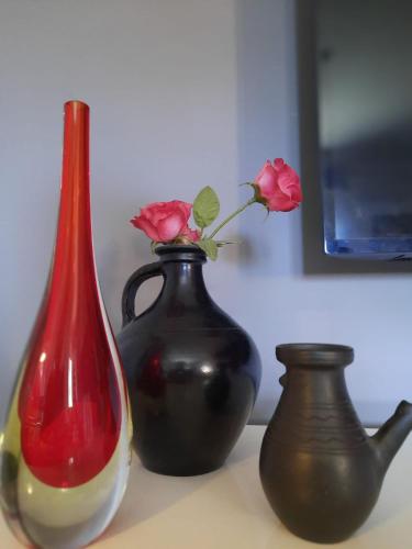 Apartman RIGEL - image 5
