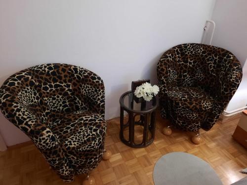 Apartman RIGEL - image 10