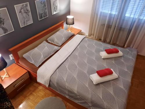 Apartman RIGEL - image 2