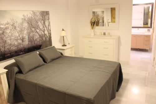 Amazing Sevilla Apartamento, Seville (photo 2)