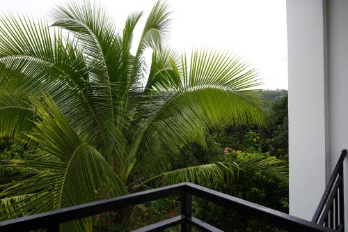 FINCA EL PROGRESO cabañas tipo apartamento FINCA EL PROGRESO cabañas tipo apartamento