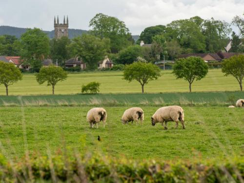 Lodge 8 - The Carse