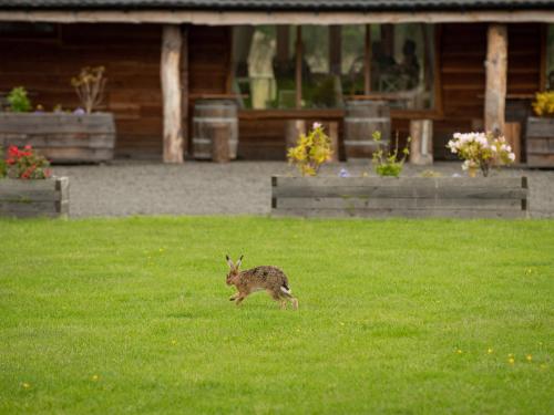 Lodge 8 - The Carse