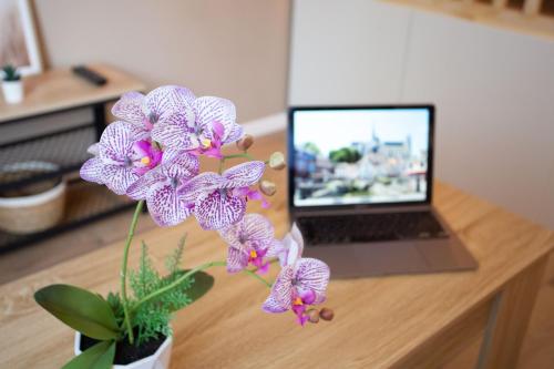 l'Estrade d'Amiens - Studio Atypique et de Standing - Wifi haut débit - 2p