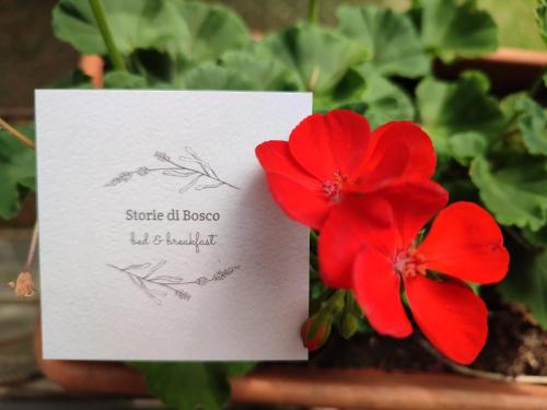  Storie di bosco in Villa Lagarina