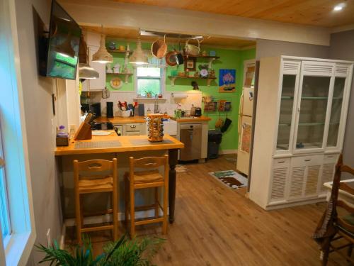 Bear Paw Splash - image 10