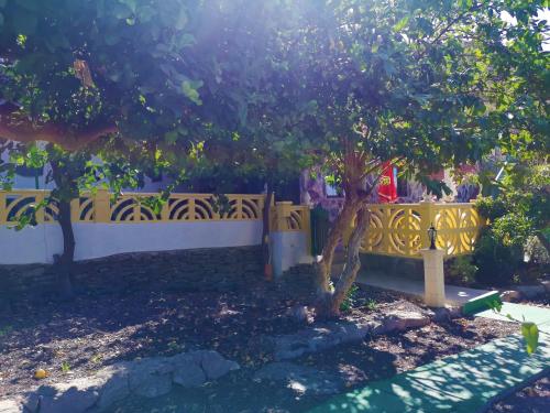 Finca Tomás y Puri - image 6