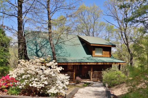 Elevated Expectations in Sevierville, USA