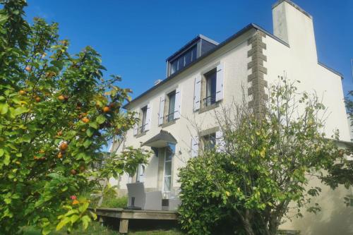 Les Hortensias - Maison vue mer Dourduff en mer