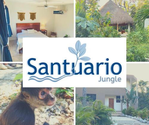 Santuario Jungle